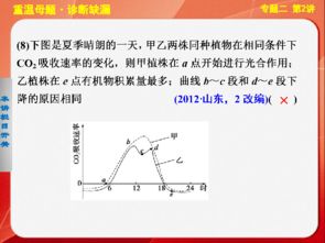 光合作用與細胞呼吸 基礎查漏補缺與典例剖析