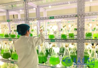 阿爾格生命科學公司捐贈1360萬元微藻土壤修復液，以細胞技術賦能鄉村振興